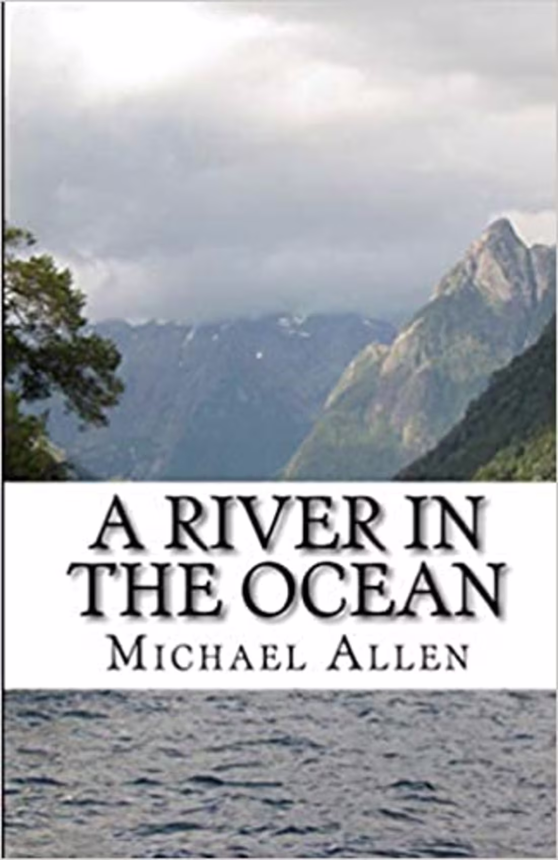 Cover image for My first novel in a