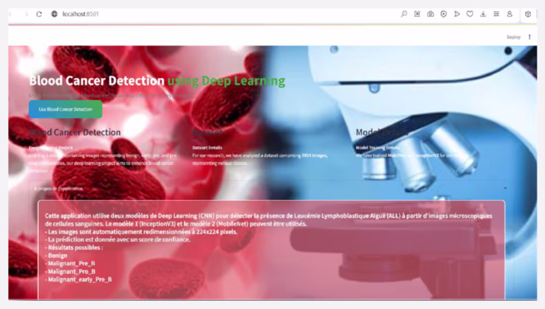 Cover image for Blood Cancer Detection
