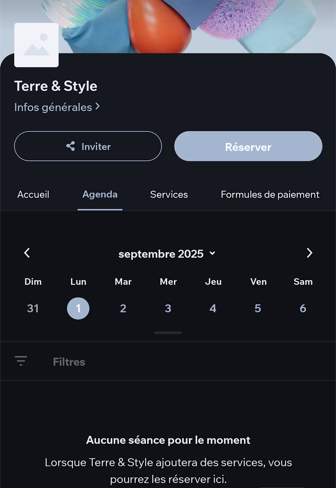 Cover image for Terre & style 
