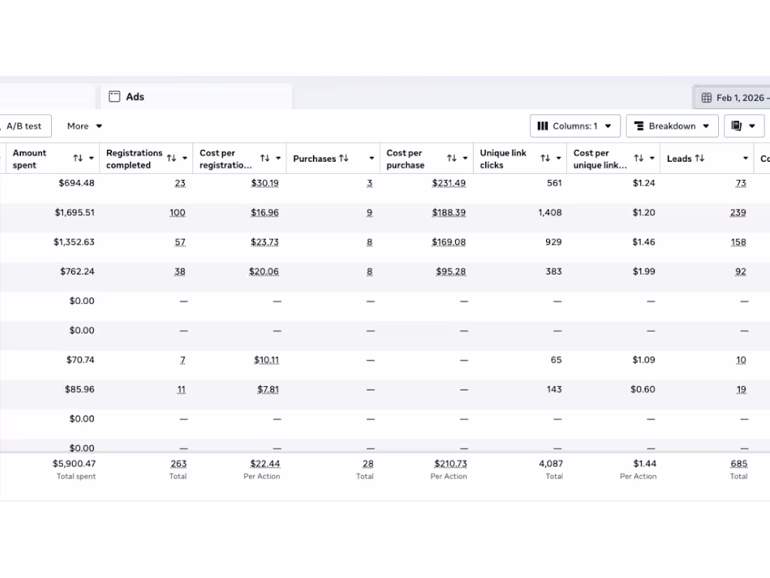 Cover image for Launched and managed Facebook Ads
