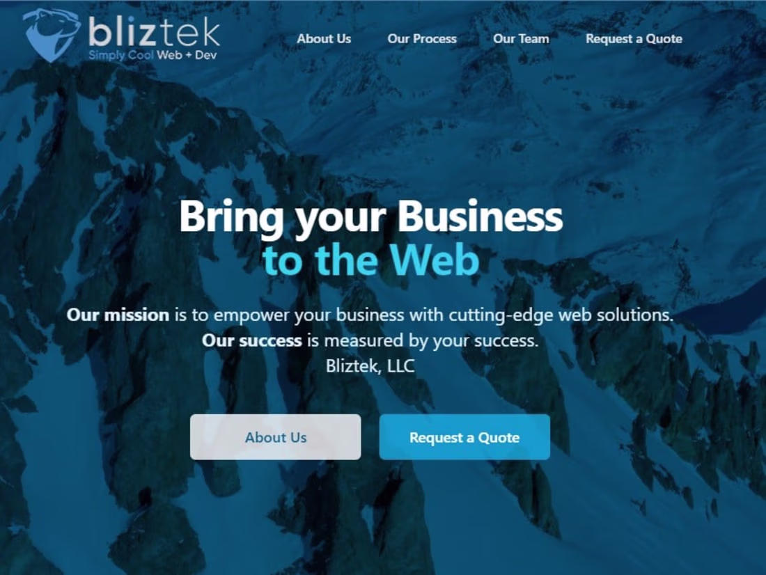 Cover image for Bliztek Website