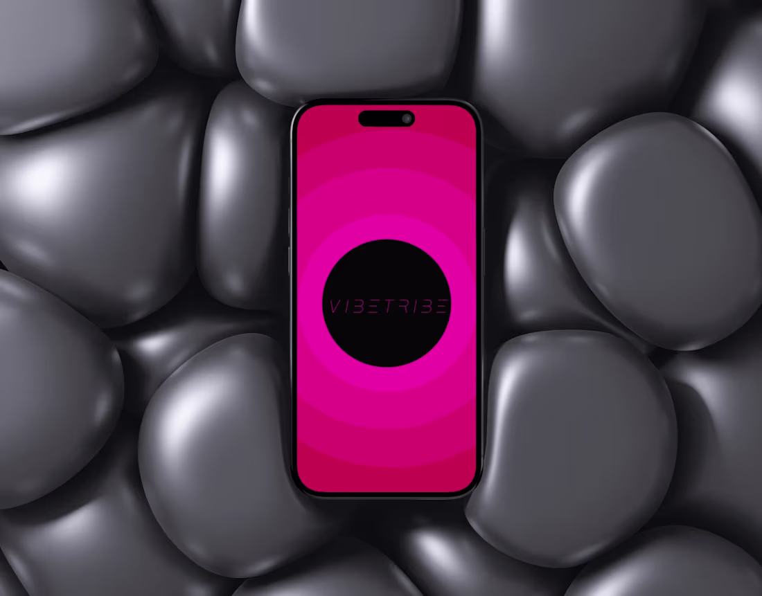 Cover image for Vibe Tribe