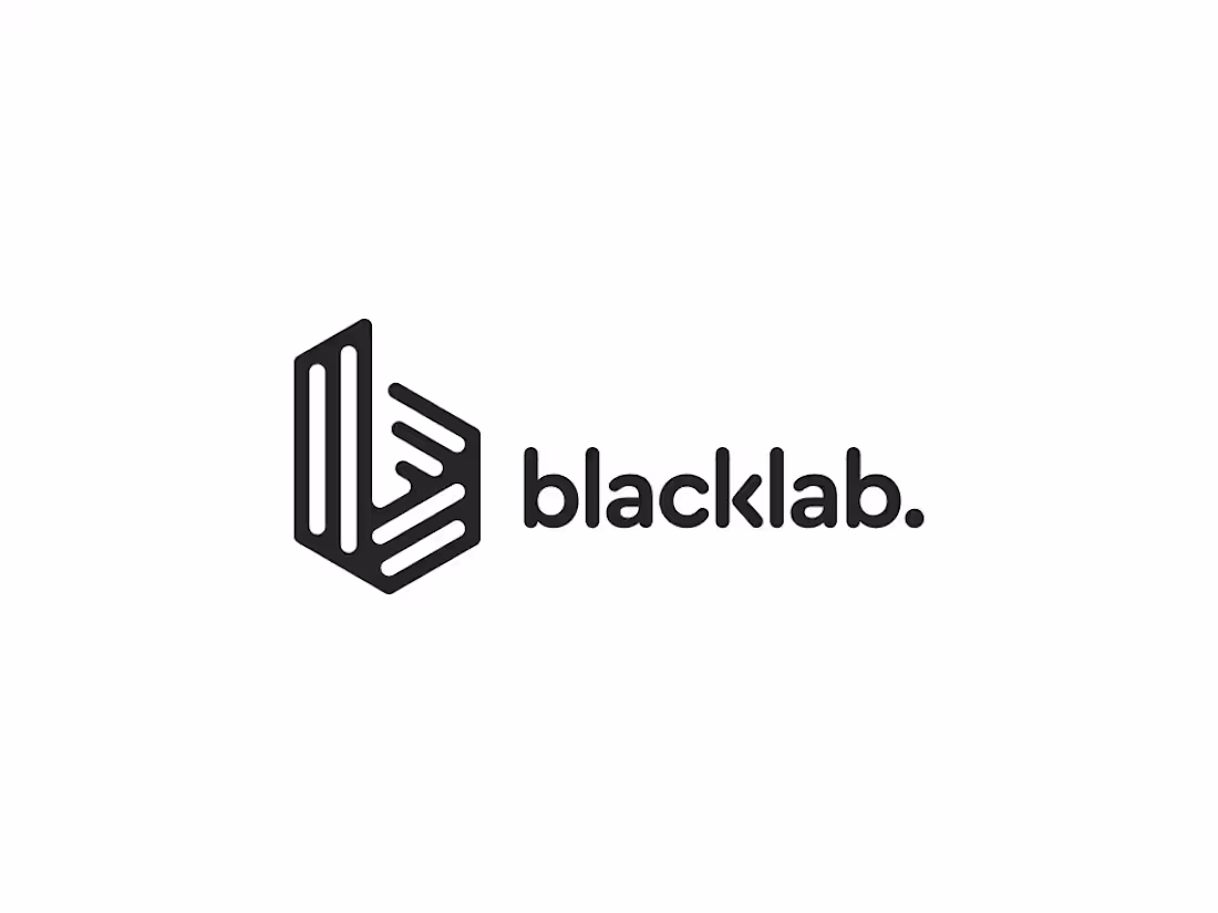 Cover image for black lab. ventures