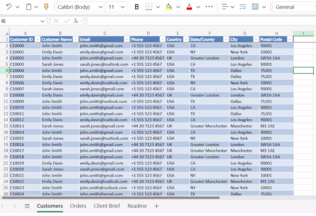 Cover image for Customer Data