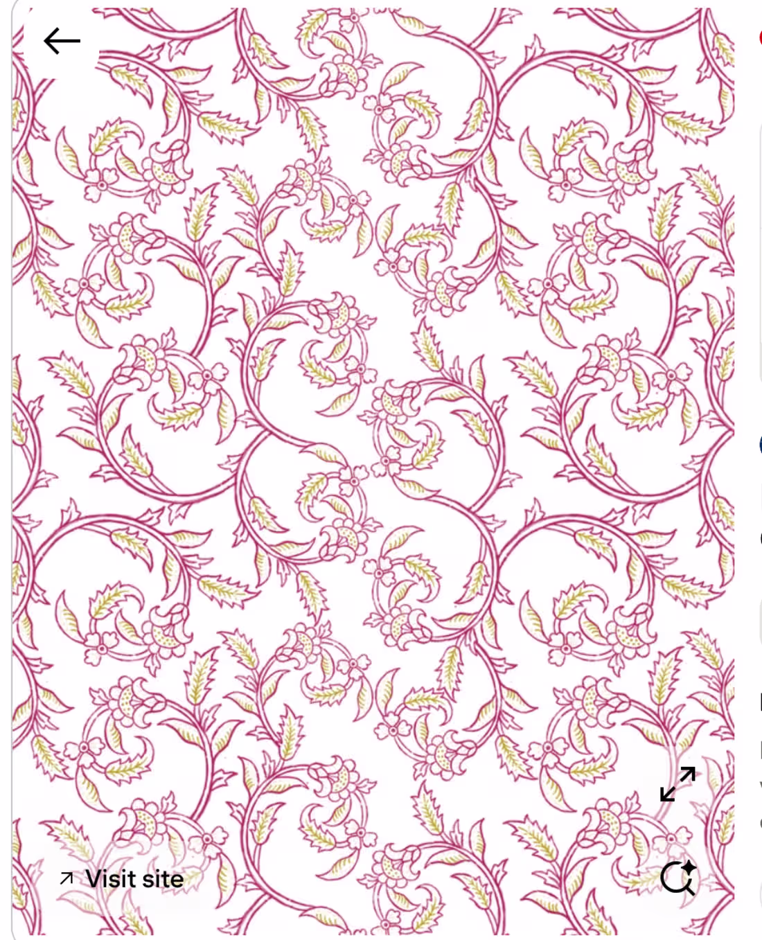Cover image for "Elegant and intricate floral wallpaper