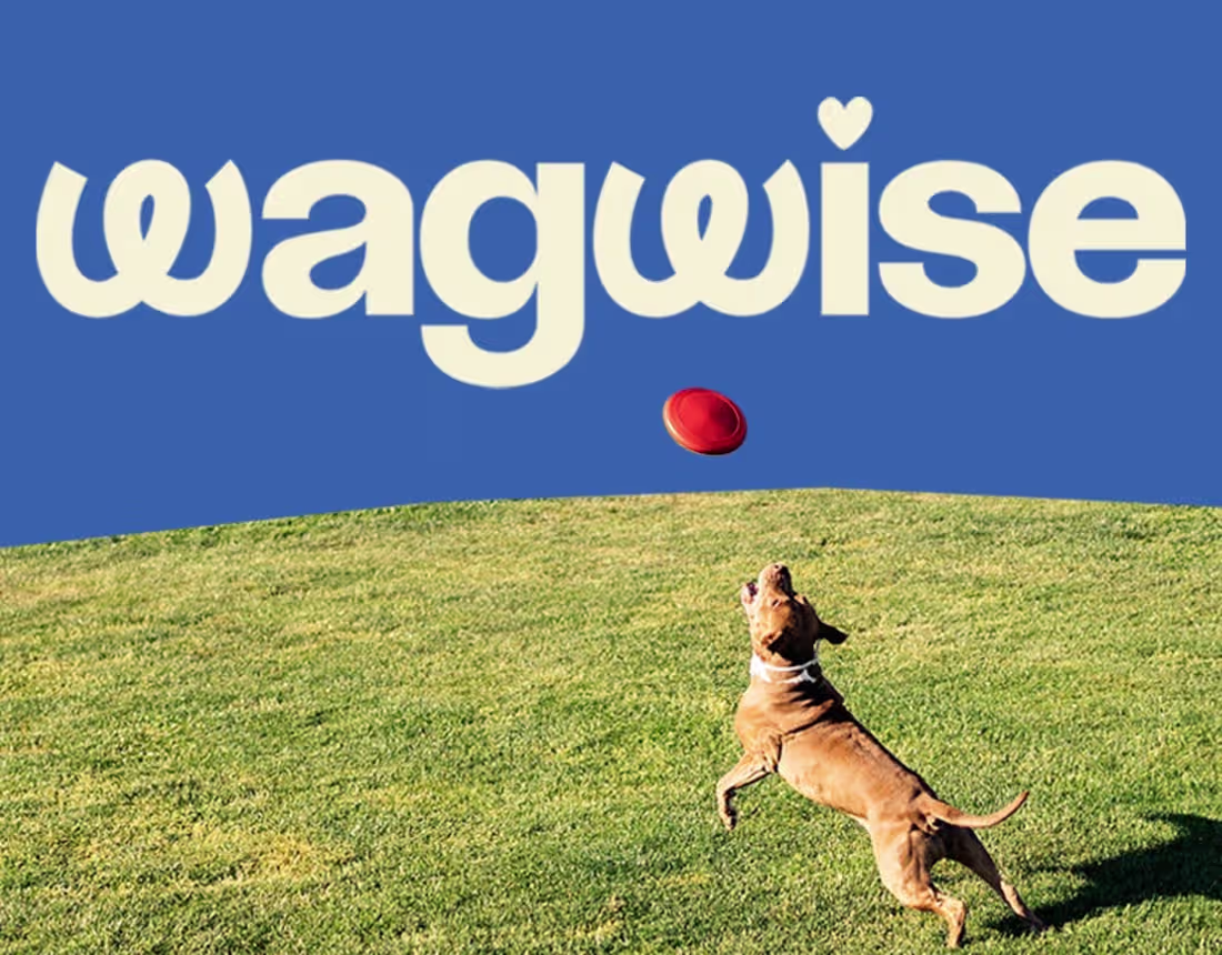 Cover image for WagWise - Pet Care Branding
