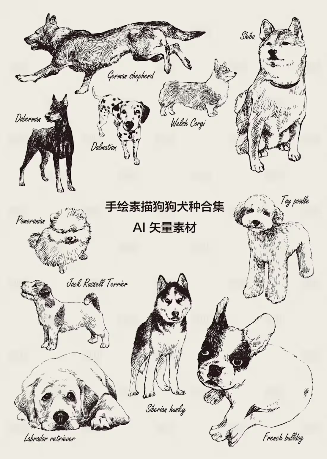 Cover image for Dog Breed Sketch Collection