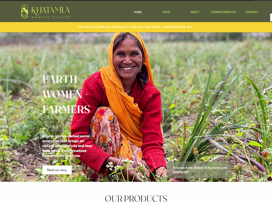 Cover image for Branding, Website, and Social Media for NGO/Social Enterprise