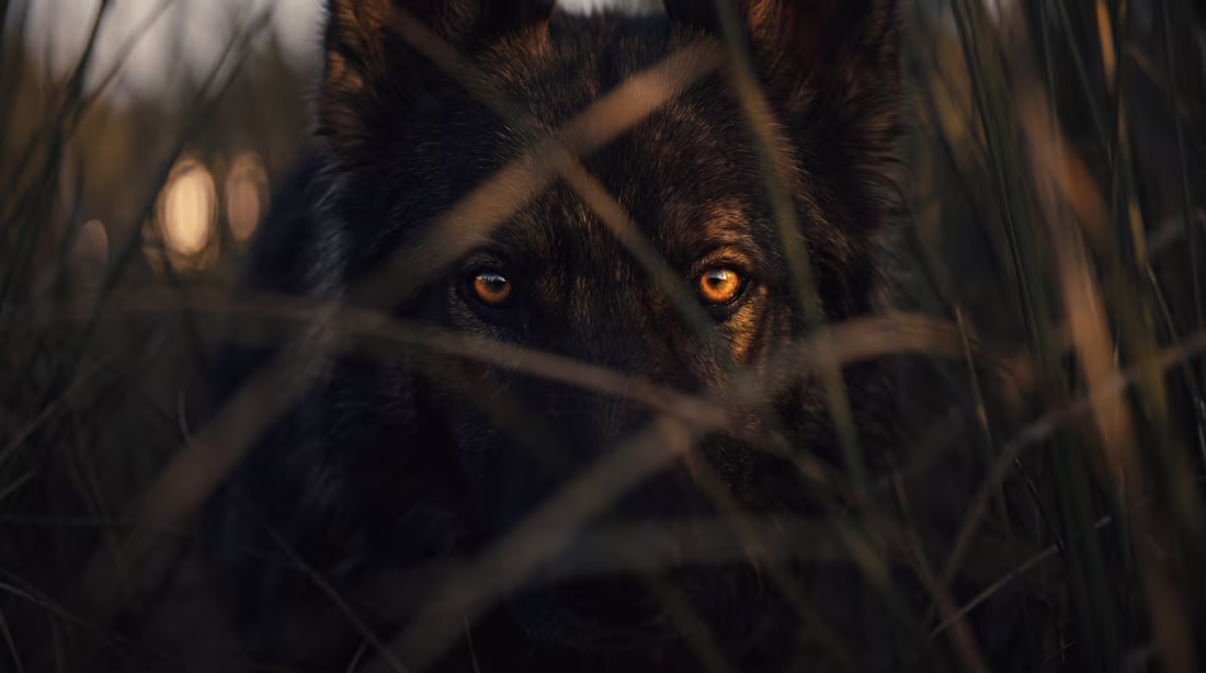 Cover image for This AI-generated cinematic wildlife portrait