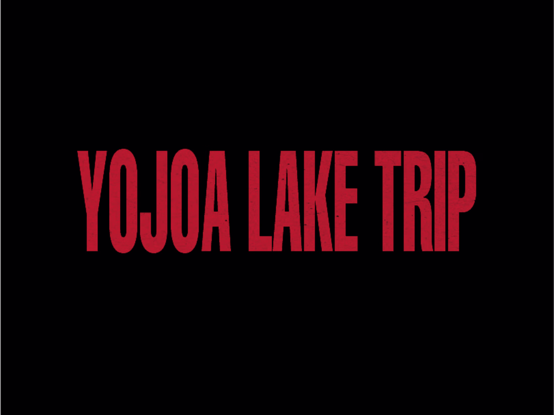 Cover image for VIDEO SHORT