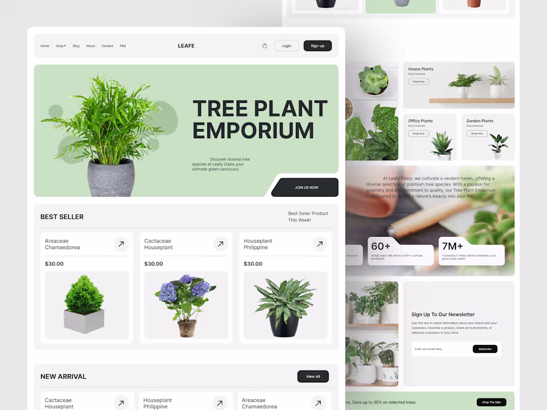Cover image for Plant Landing page design