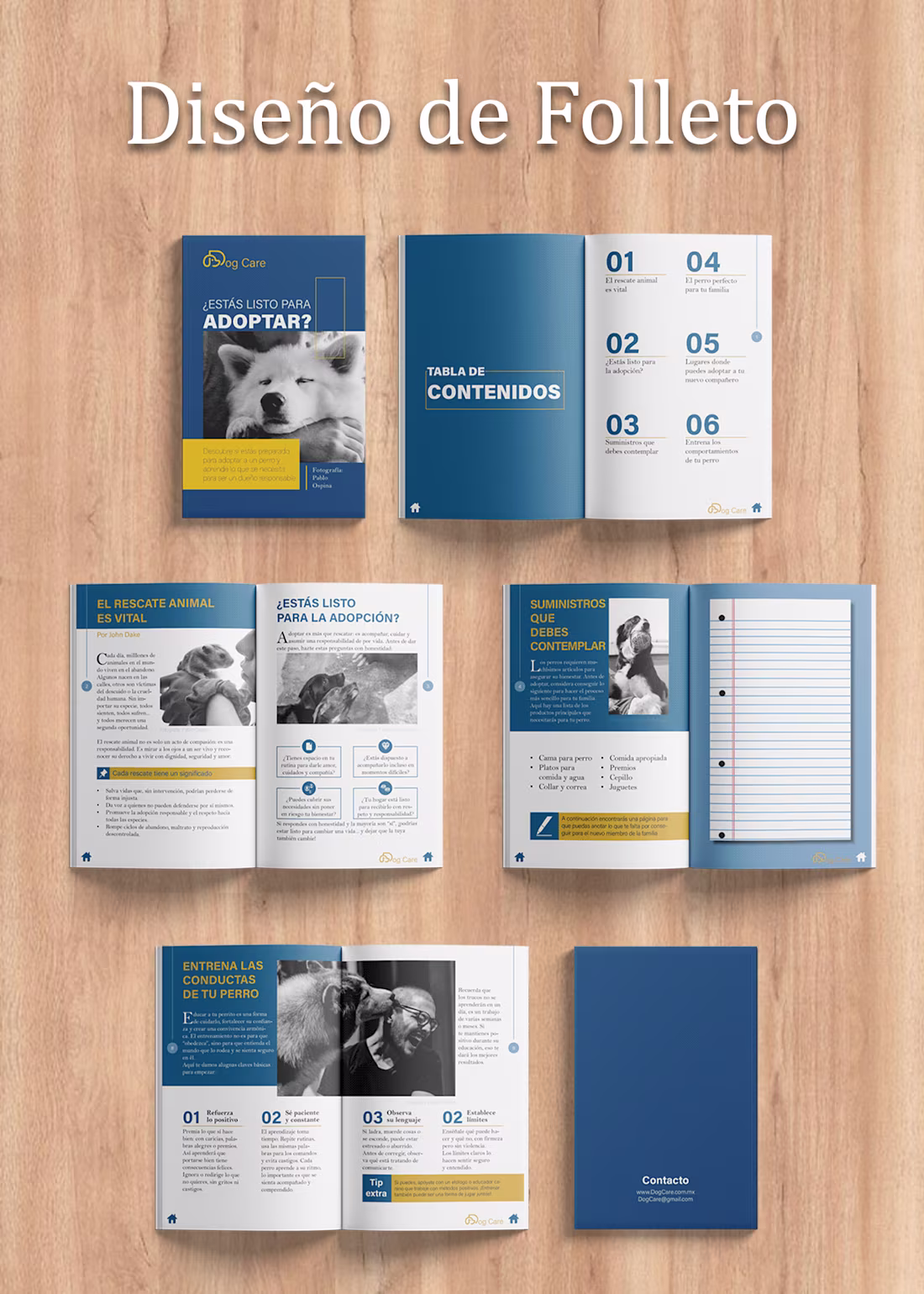 Cover image for Brochure "adoption"
