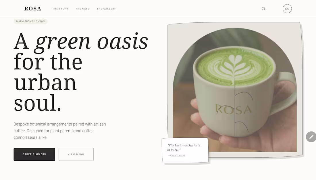 Cover image for ​Rosa — A Minimalist Botanical