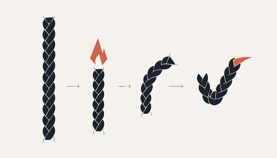 Cover image for BRAYD: The Braided Focus Flame
