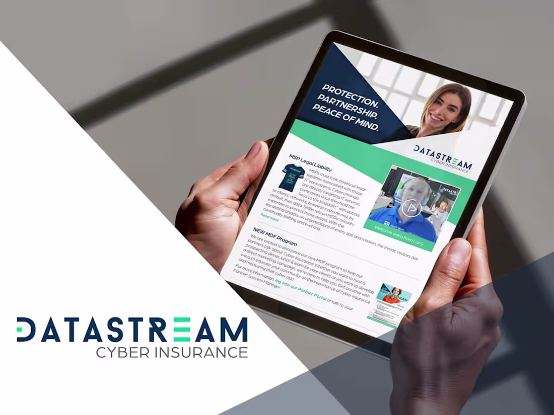 Cover image for DATASTREAM Cyber Security Company 