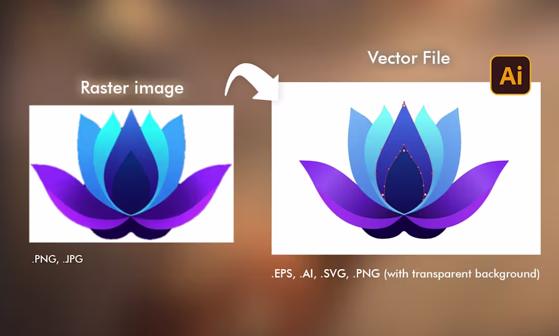 Cover image for Here, I vectorized the flower.