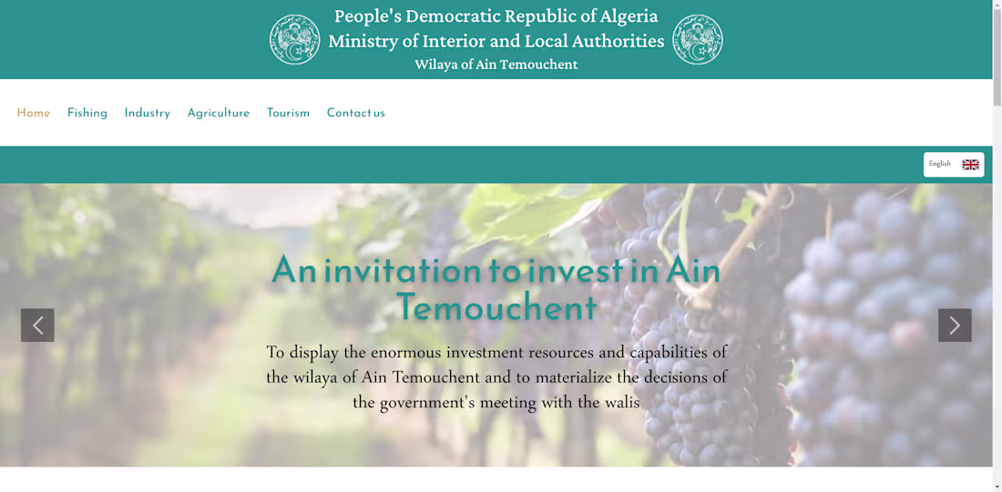 Cover image for A call to invest in Ain Temouchent