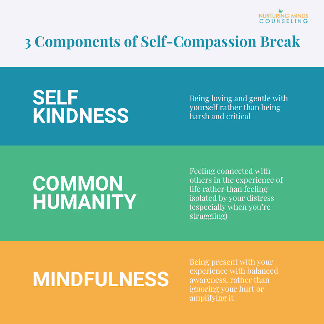 Cover image for IG Post - 3 Components of Self-Compassion Break