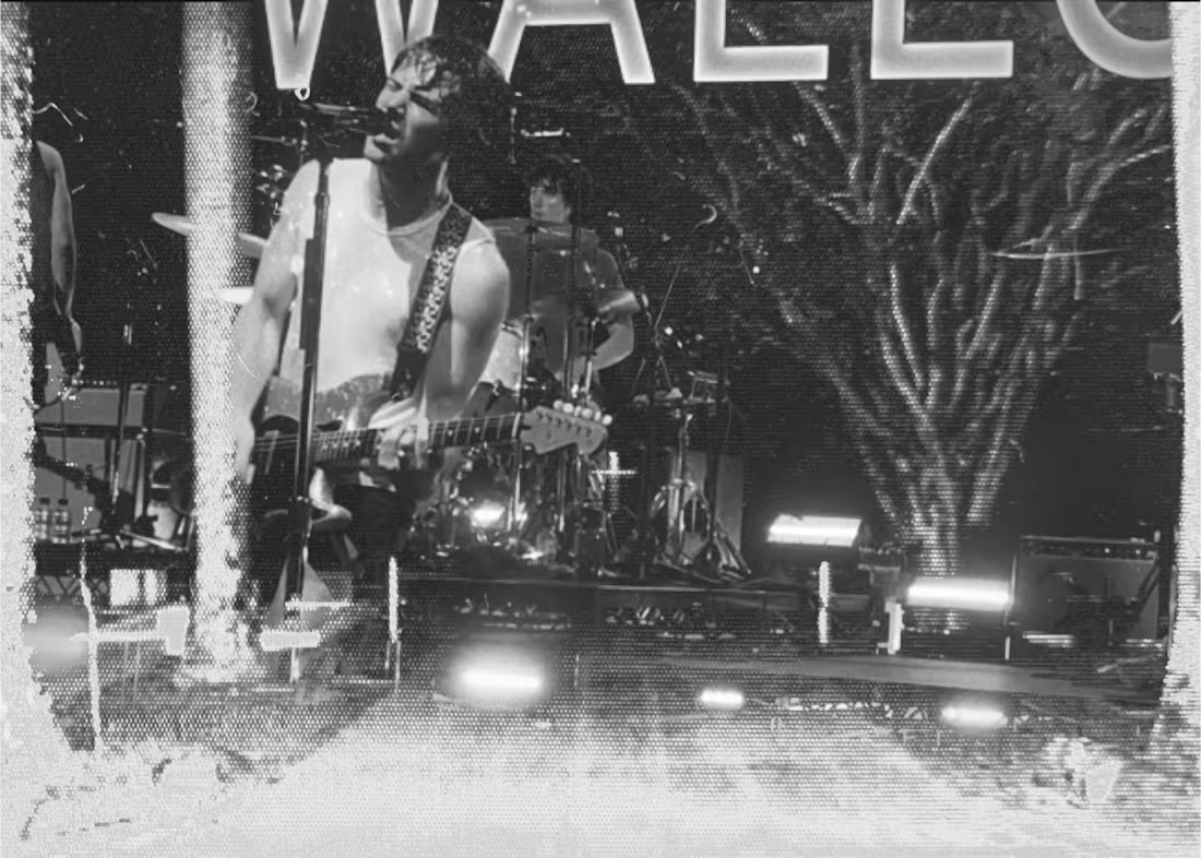 Cover image for Wallows Shot @ Riverstage Brisbane