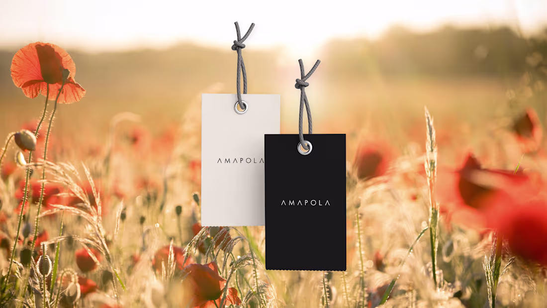 Cover image for Amapola Brand Identity Design  