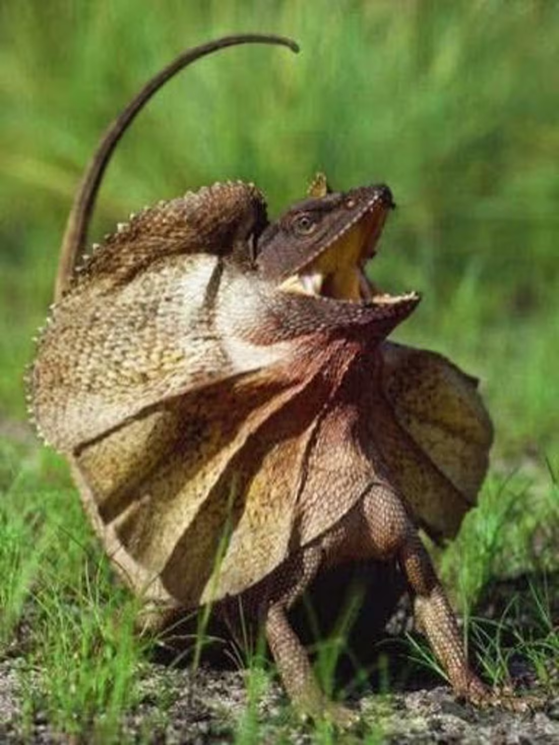 Cover image for Photographe créatif spécialisé dans la