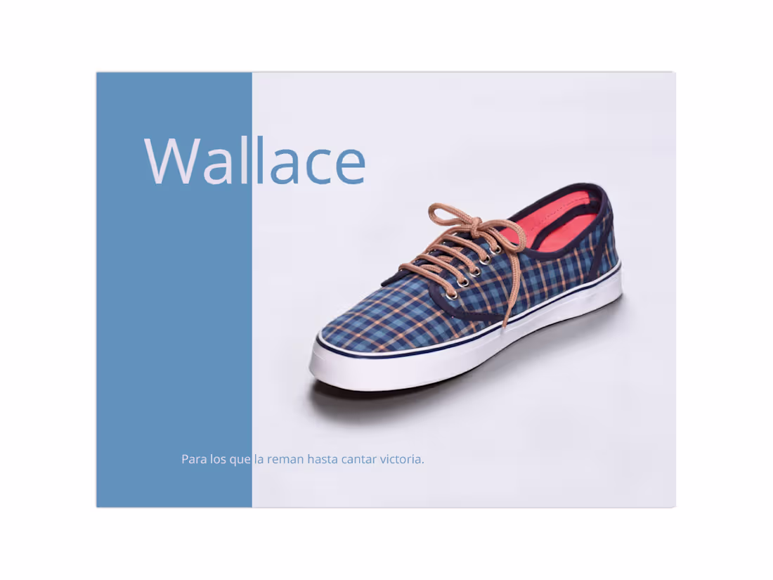 Cover image for Advertising design created for Wallance