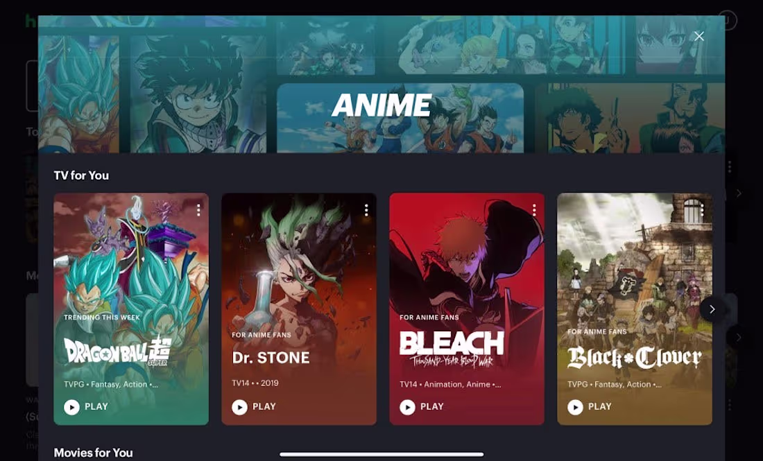 Cover image for Hulu Vs. Netflix: Where To Get Your Anime Fix — Jazz In Writing