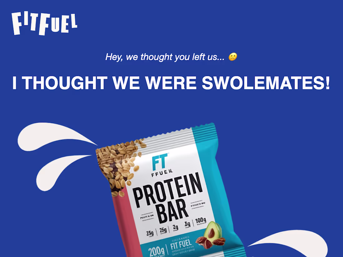 Cover image for FitFuel Reengagement Email Campaign