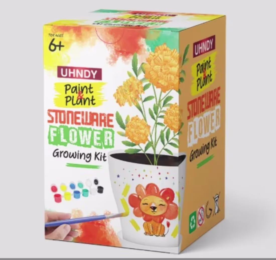 Cover image for Custom Stoneware Flower Growing Kit Packaging Design Kids Paint