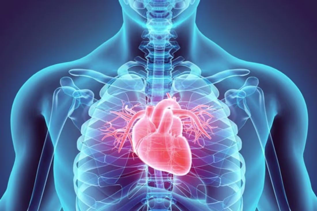 Cover image for Understanding Cardiovascular Disease and Prevention