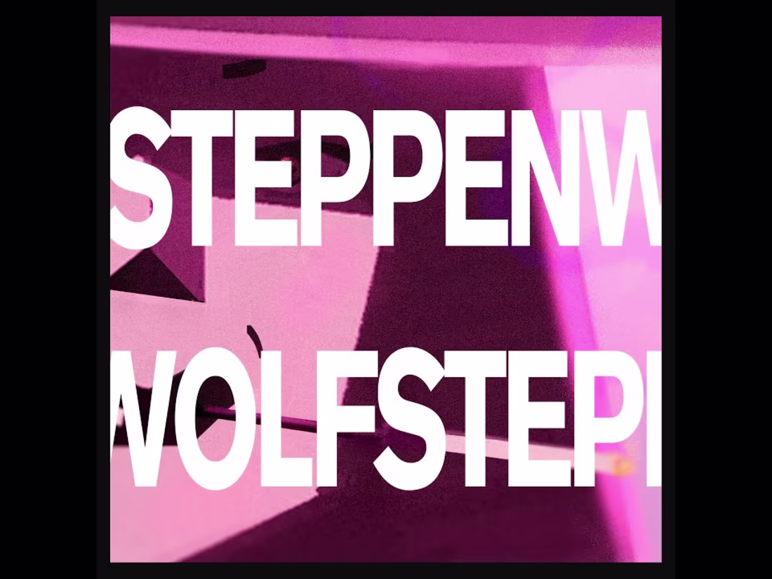 Cover image for Steppenwolf