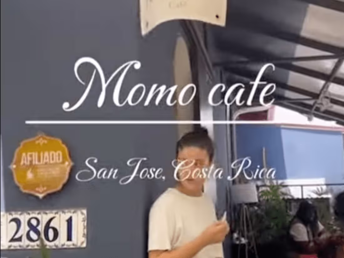 Cover image for MoMa Cafe Highlight Reel