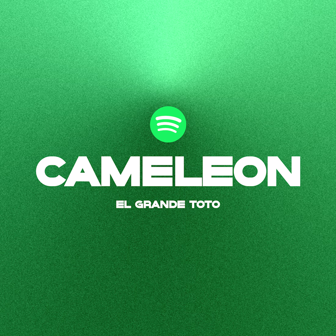 Cover image for Cameleon design