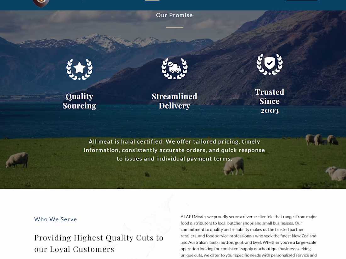 Cover image for Designed and Developed a New Website for Import Company