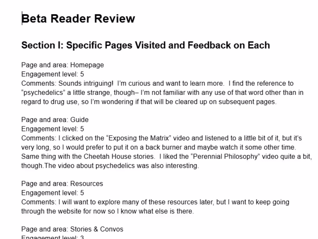 Cover image for Evaluated a client's website