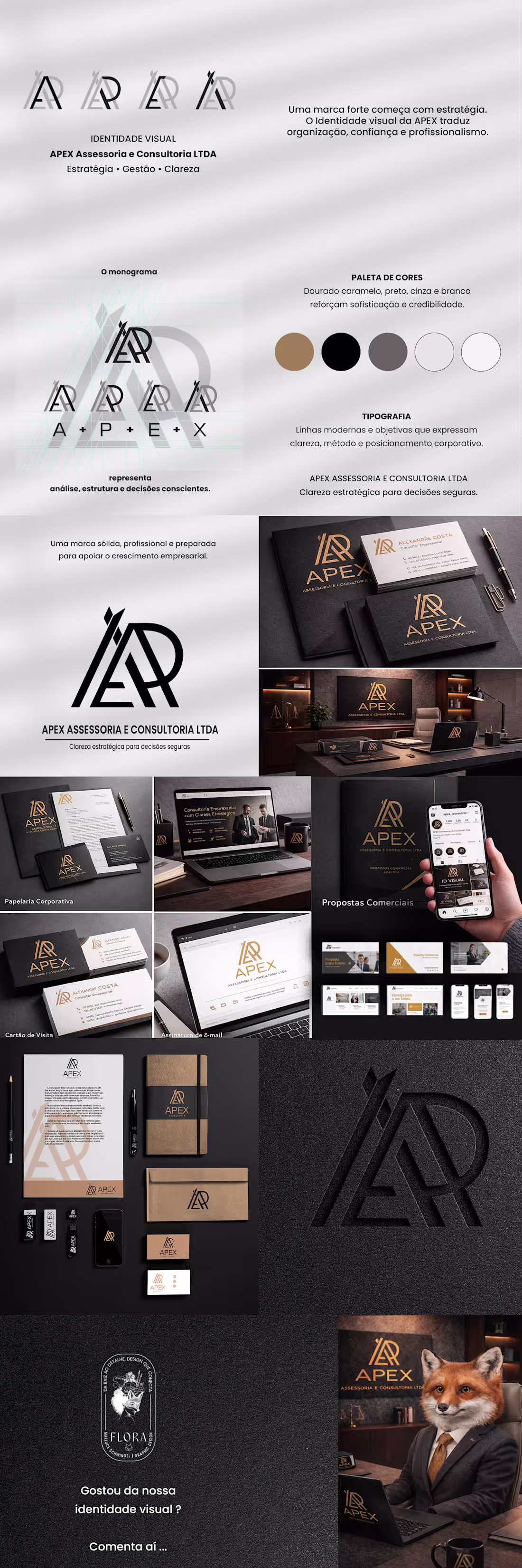 Cover image for Visual identity project for APEX