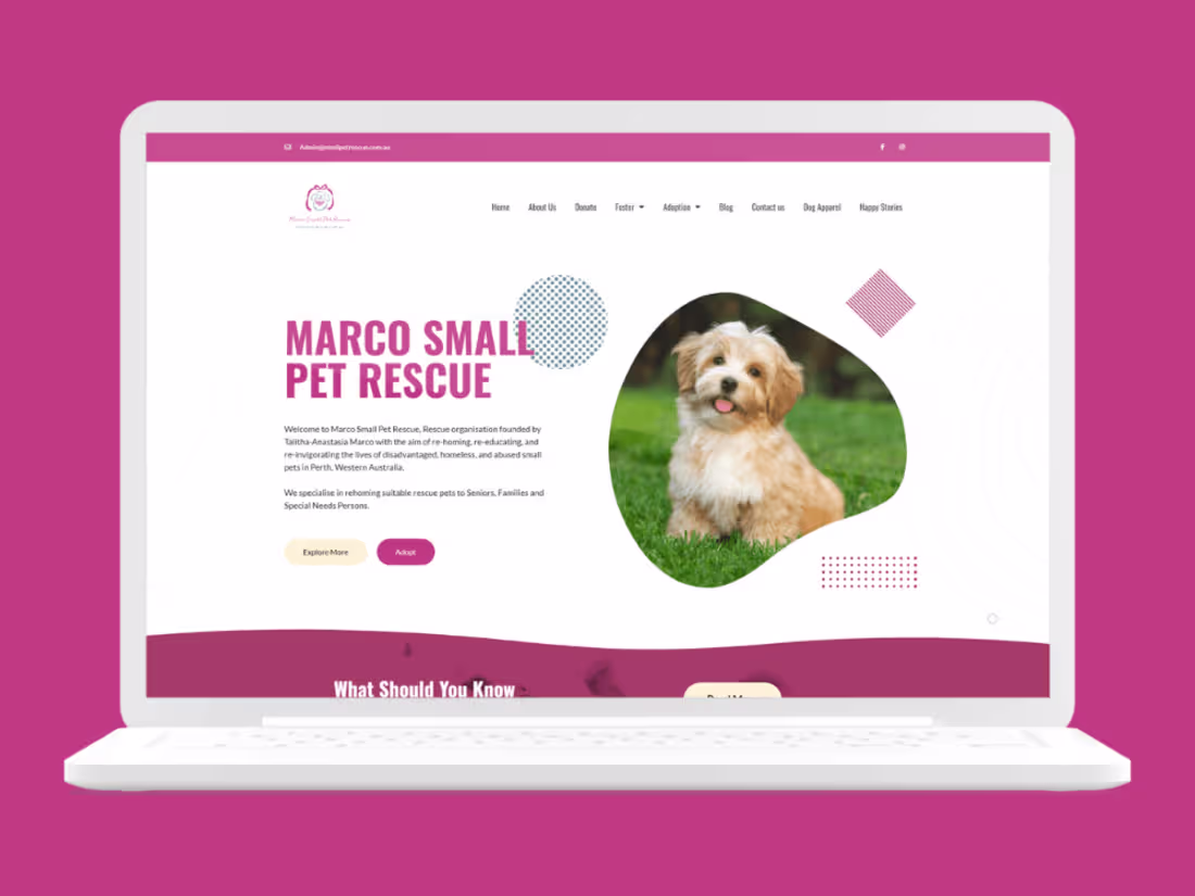 Cover image for Pet Rescue – Marco Small Pet Rescue