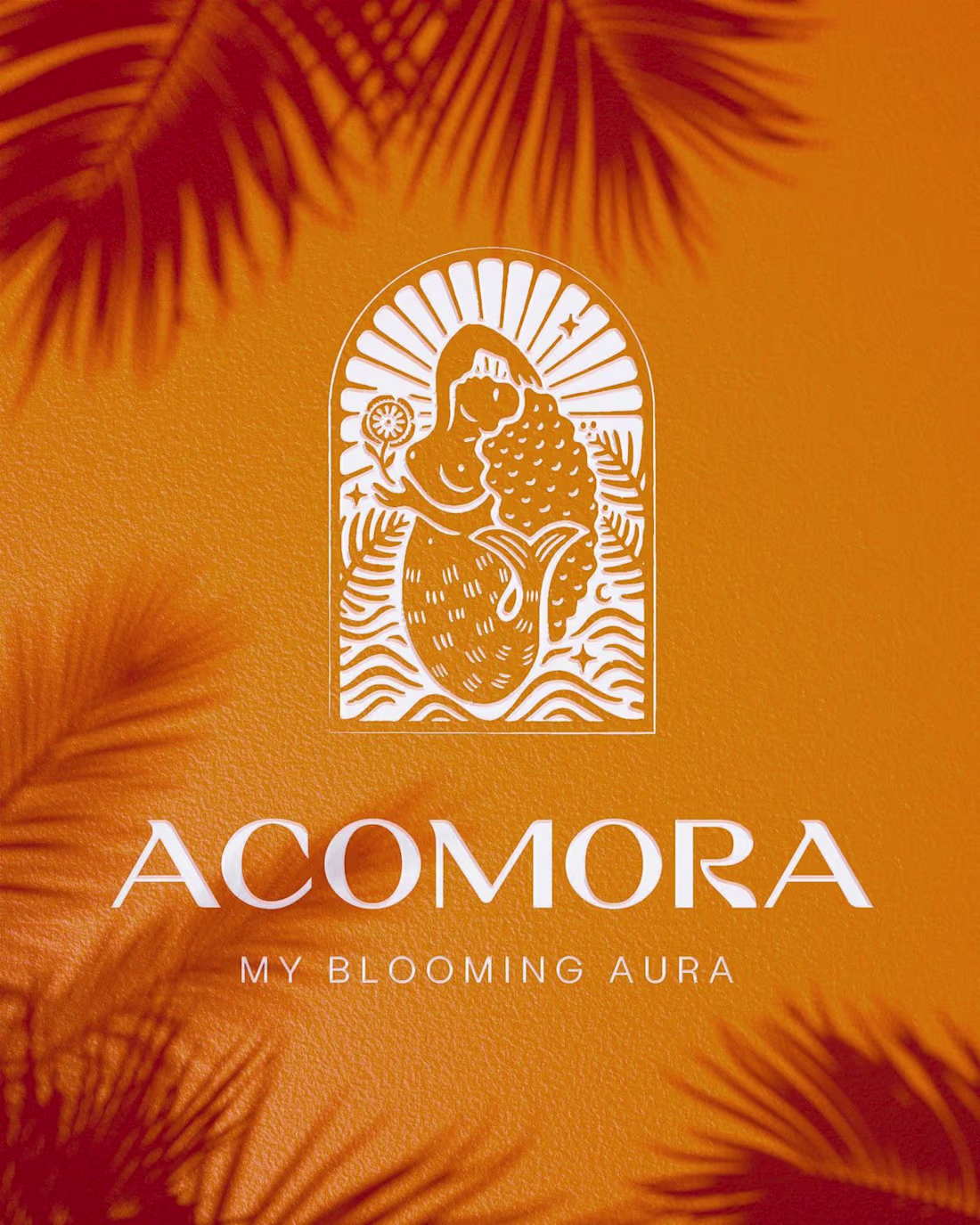 Cover image for Acomora
