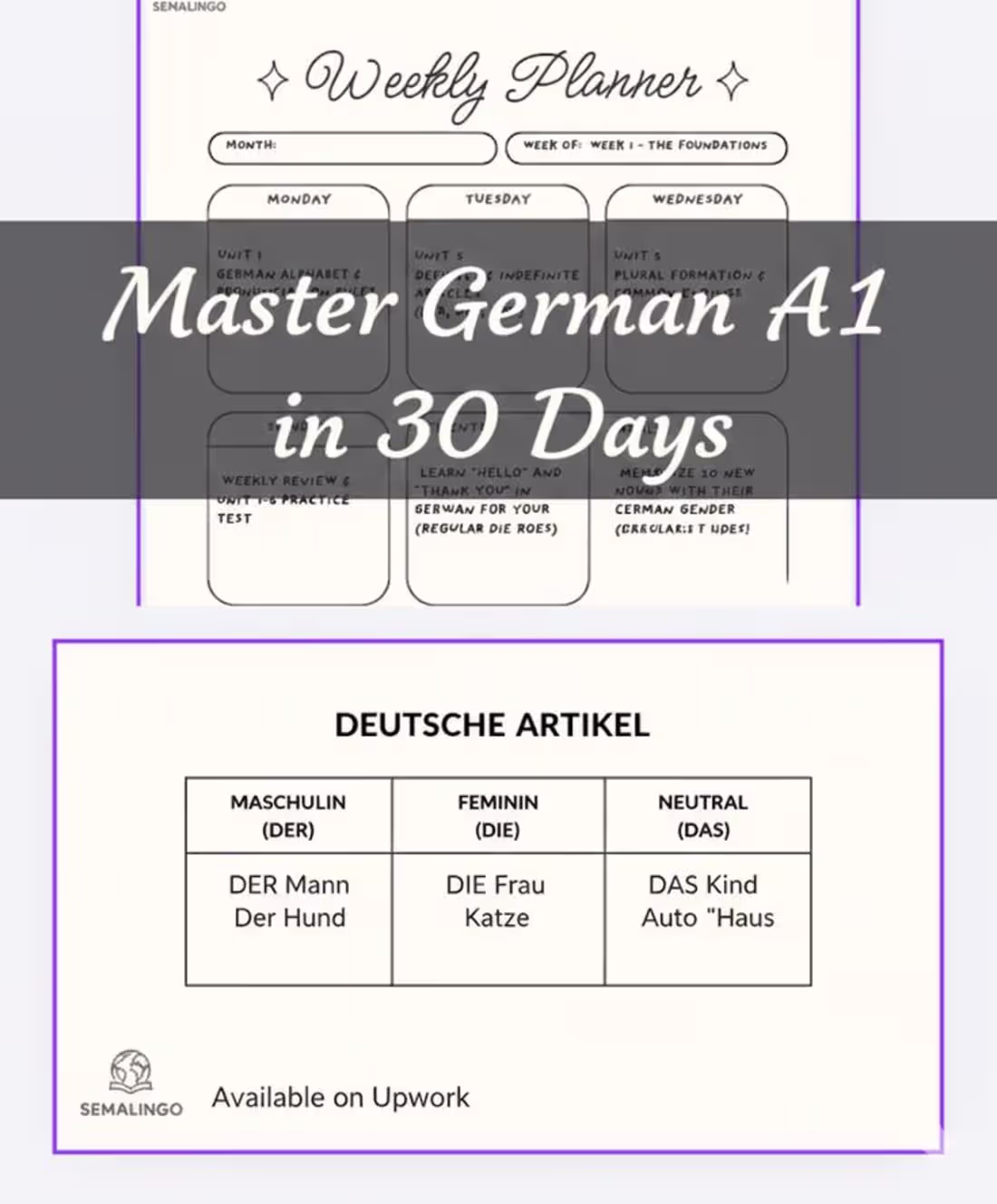 Cover image for A comprehensive, visually-driven guide designed