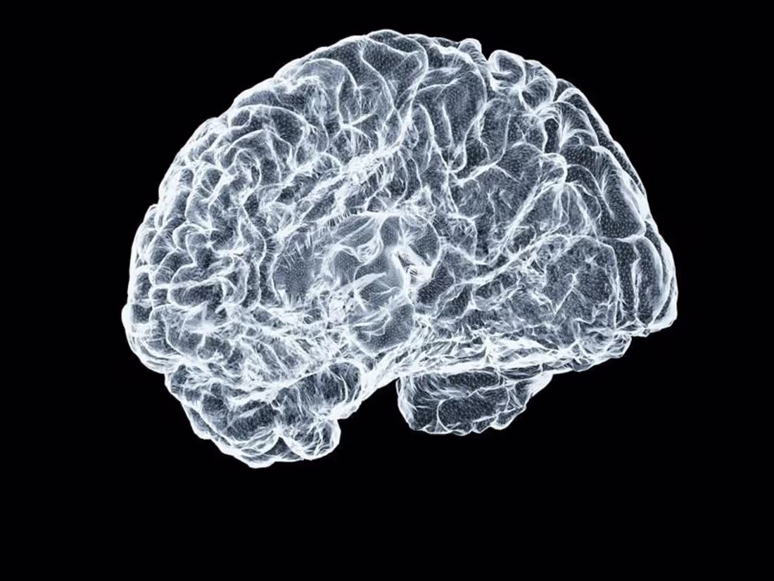Cover image for *AI - AI.