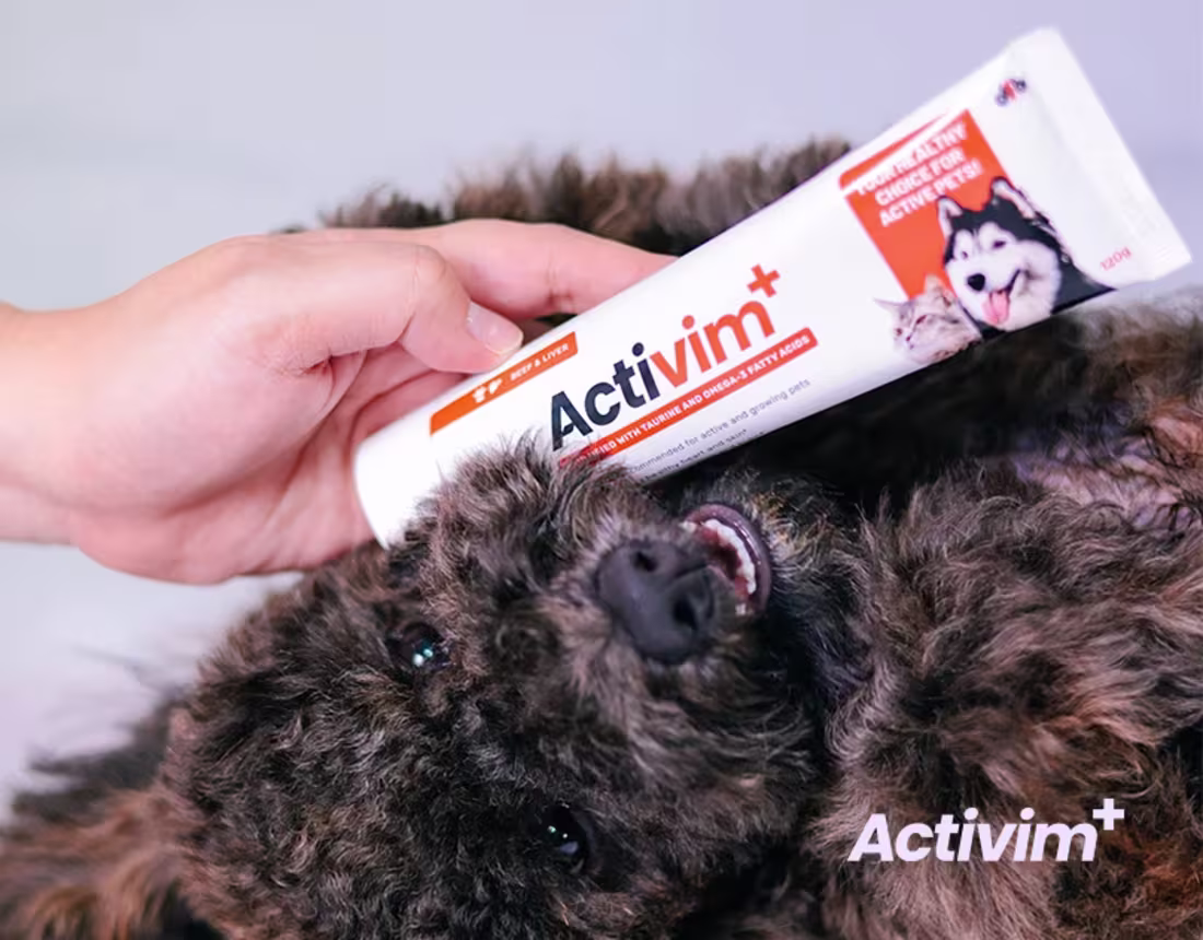 Cover image for Activim+ | Packaging Design