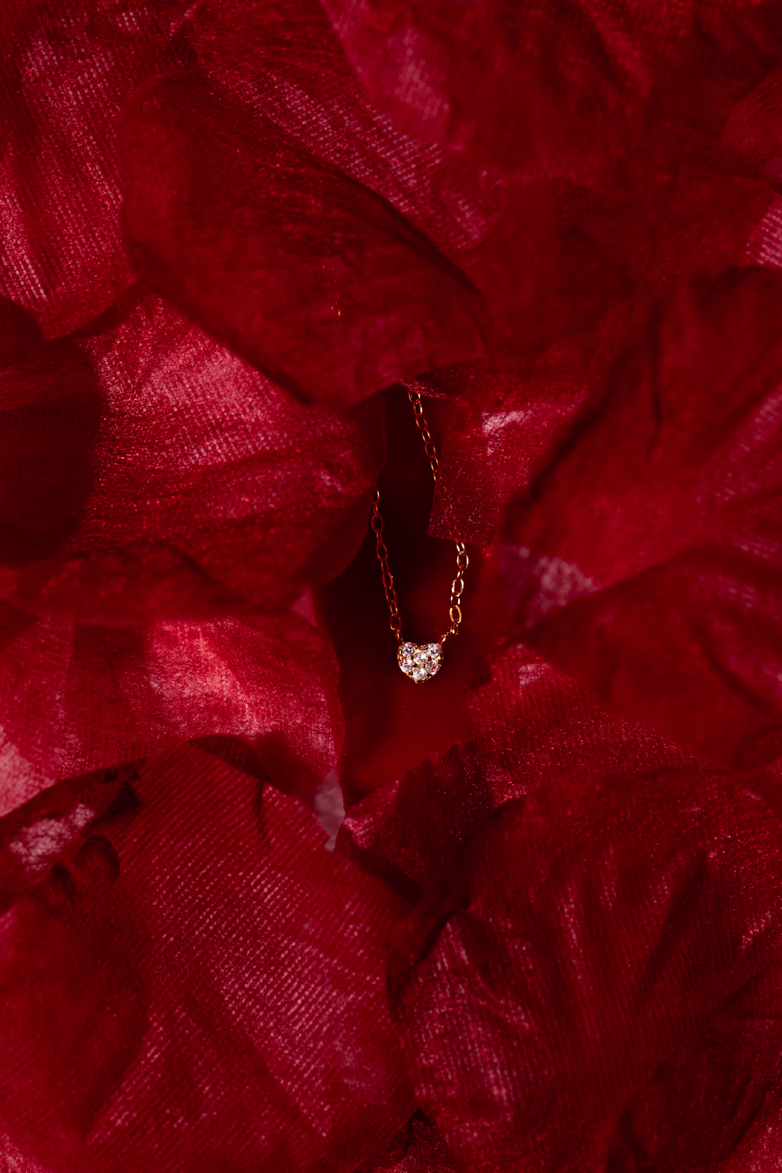 Cover image for Campaign photography - gold heart