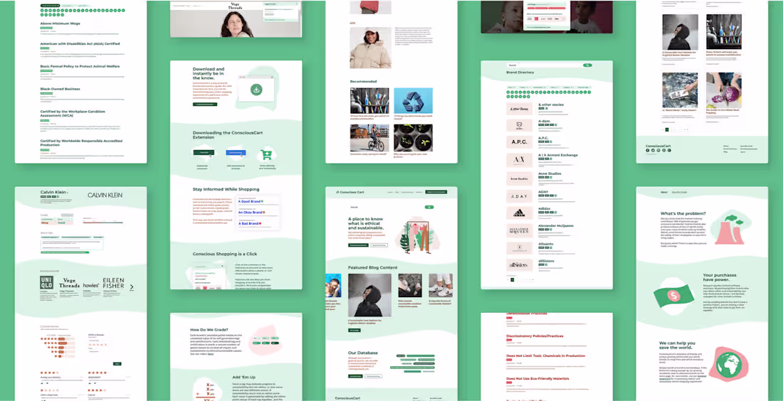 Cover image for Designing a Website to Showcase Ethical Consumer Brands