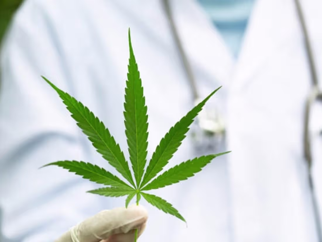 Cover image for Everything You Need to Know About Medical Marijuana