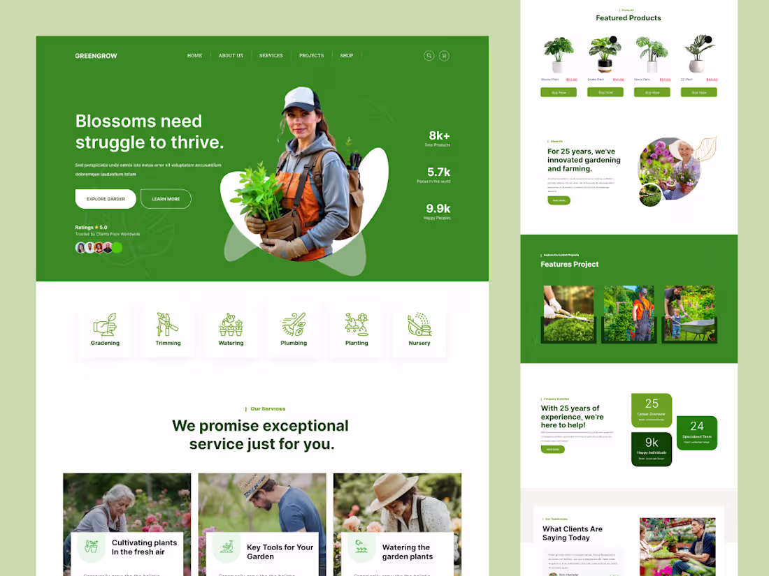Cover image for Plant Business Website Design | Branding Services
