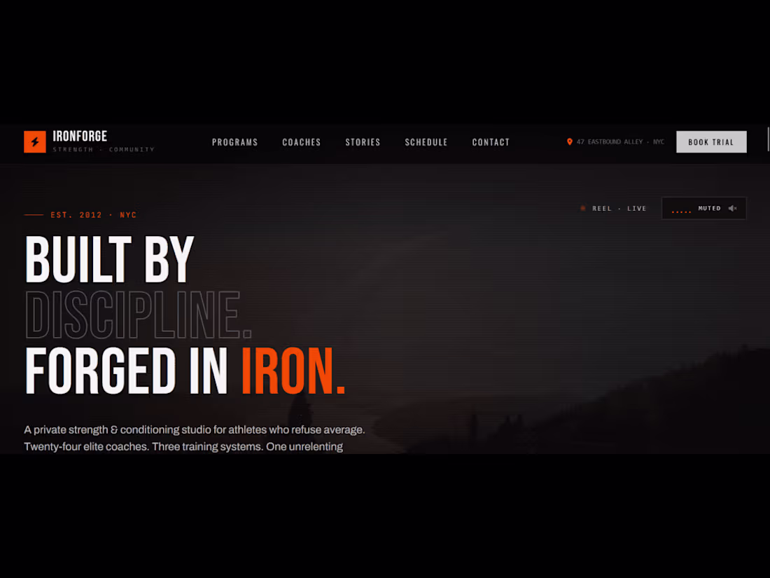 Cover image for IRONFORGE — Elite Strength & Conditioning Studio