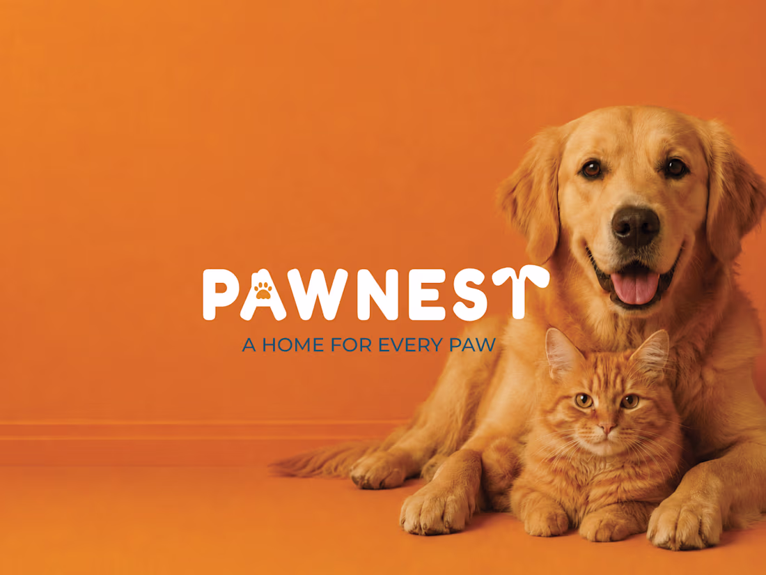 Cover image for Branding & Packaging for Pawnest