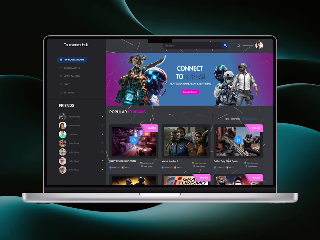 Cover image for Tournament Hub: A game streaming website