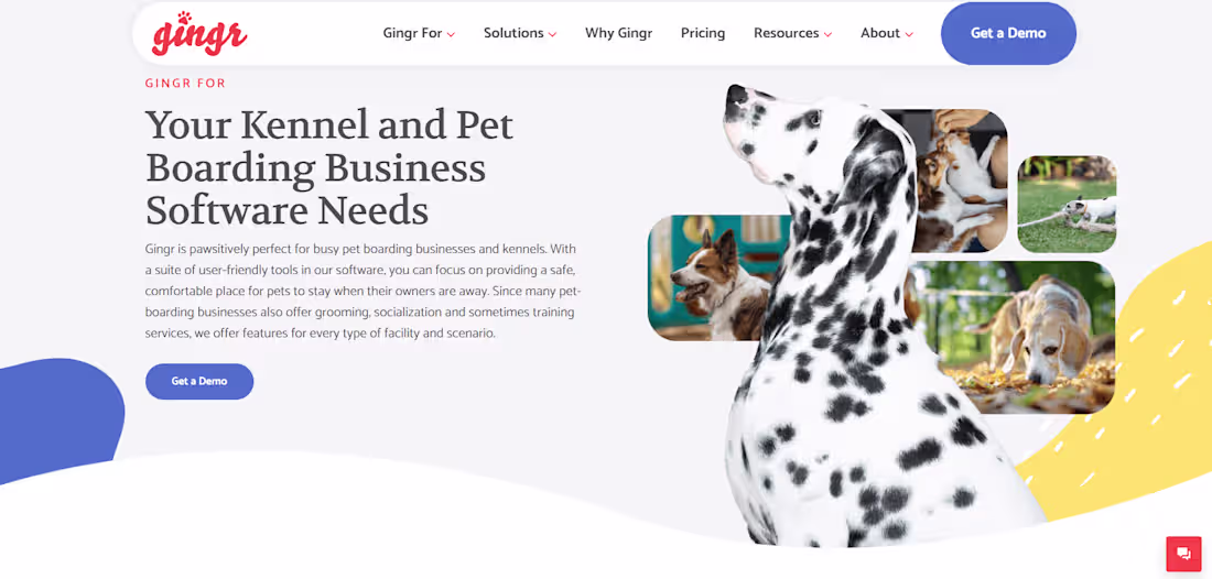 Cover image for https://www.gingrapp.com/ - Gingr
◾ Pet daycare,