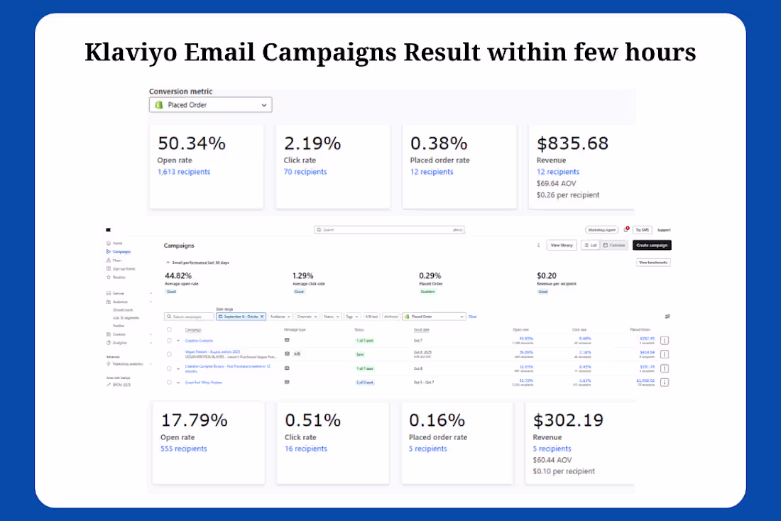 Cover image for Klaviyo Email Marketing Campaign for Shopify Brand